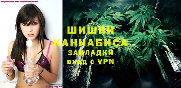 дурь Алзамай