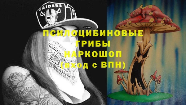 гидра Абдулино