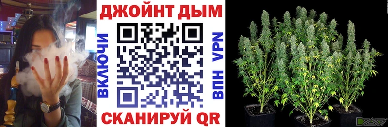 Бошки Шишки планчик  Советская Гавань 